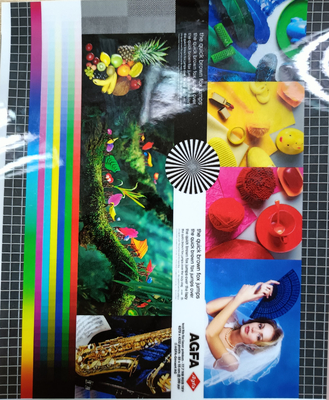 Good price 1920mm Width 30mic Glossy Multiply Extrusion PET Hot Laminating Film For Photo Protection Layer online